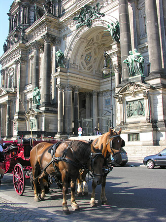 Pferdekutsche vor dem Berliner Dom - Berlin (Berlin)