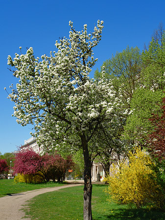 Frühling - Berlin