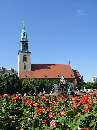 Fotos Marienkirche