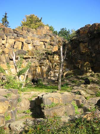 Tierpark - Berlin (Berlin)