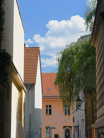 Häuser in der Spandauer Altstadt - Berlin (Berlin)