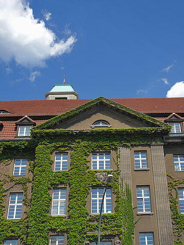 Rathaus Spandau - Berlin (Berlin)