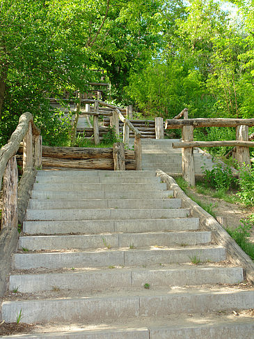 Treppe auf den Drachenfliegerberg - Berlin (Berlin)