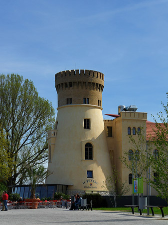 Foto Zichorienmühle