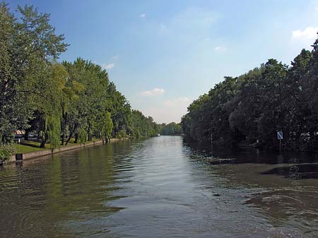 Bäume an der Spree - Berlin (Berlin)