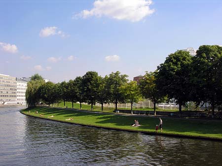 Wiese an der Spree - Berlin (Berlin)