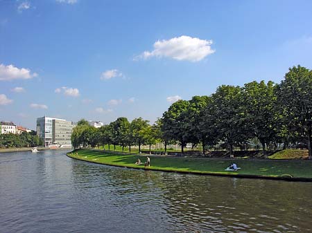 Wiese an der Spree - Berlin (Berlin)