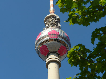 Foto Fernsehturm und Bäume