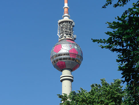 Fotos Fernsehturm und Bäume | Berlin