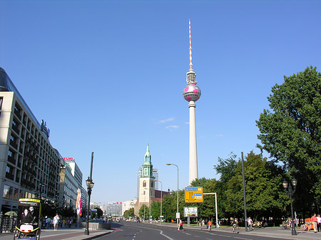 Fotos Fernsehturm und Bäume | Berlin