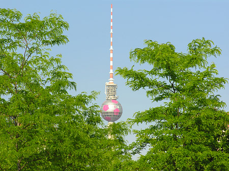 Fernsehturm vom Potsdamer Platz - Berlin (Berlin)