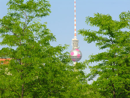 Fernsehturm vom Potsdamer Platz - Berlin (Berlin)