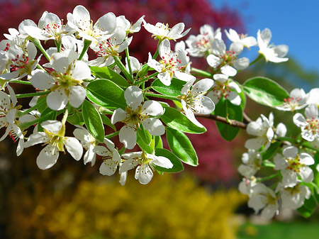 Frühling - Berlin