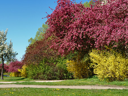 Frühling - Berlin