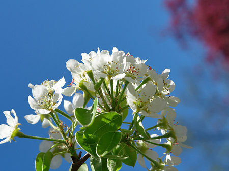 Frühling - Berlin