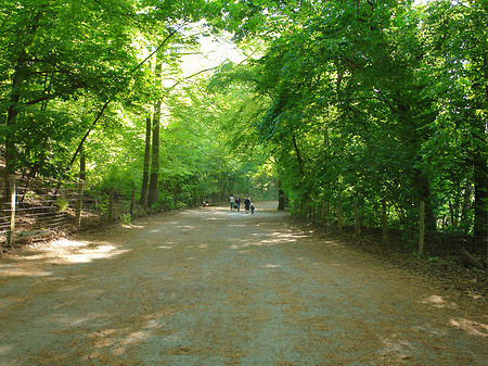 Jagdschloss Grunewald - Berlin (Berlin)