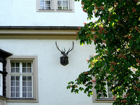 Jagdschloss Grunewald - Berlin (Berlin)