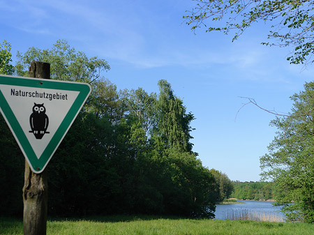 Jagdschloss Grunewald Fotos