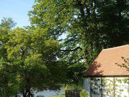 Foto Jagdschloss Grunewald