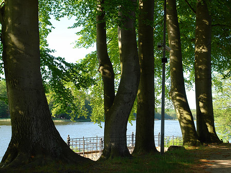 Foto Jagdschloss Grunewald - Berlin