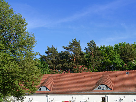 Fotos Jagdschloss Grunewald