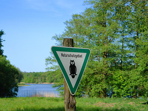 Jagdschloss Grunewald - Berlin (Berlin)