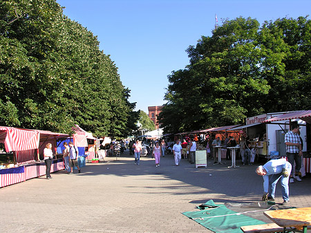 Markt an der Karl Liebknecht Straße - Berlin (Berlin)