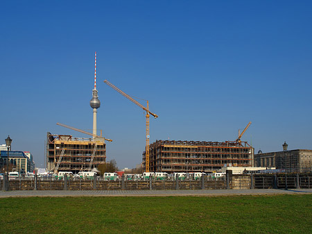 Palast der Republik und der Fernsehturm - Berlin (Berlin)