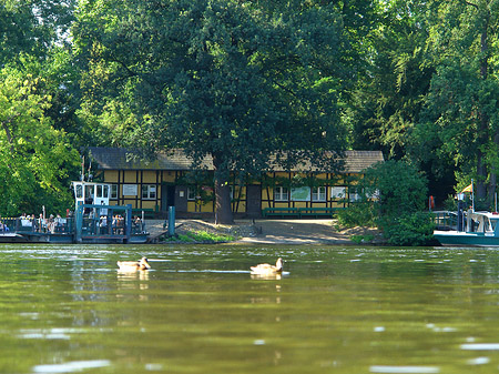 Anlegestelle zur Pfaueninsel - Berlin (Berlin)