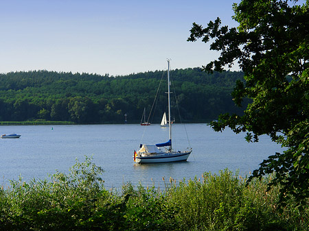 Segelboote auf der Havel - Berlin (Berlin)