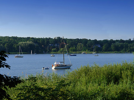 Segelboote auf der Havel - Berlin (Berlin)