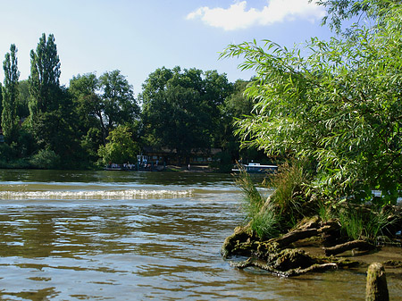 Ufer an der Pfaueninsel - Berlin (Berlin)