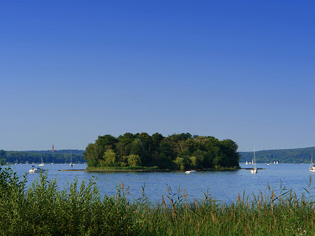 Foto Ufer an der Pfaueninsel