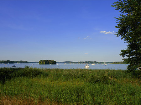 Ufer an der Pfaueninsel - Berlin (Berlin)