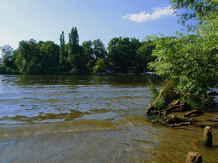 Ufer an der Pfaueninsel - Berlin (Berlin)