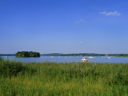 Ufer an der Pfaueninsel - Berlin (Berlin)