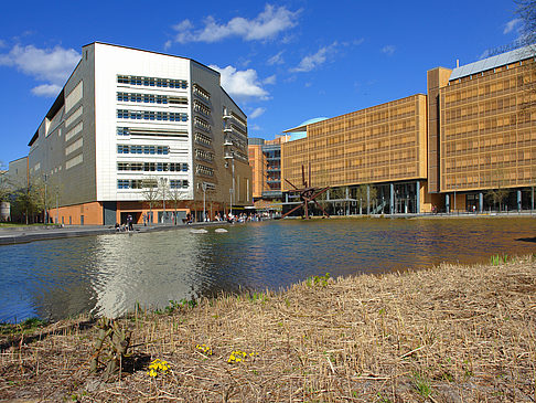 Ökologischer See - Berlin (Berlin)