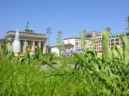 Foto Pariser Platz - Berlin