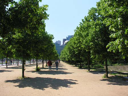 Foto Tiergarten - Berlin