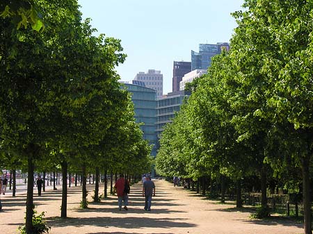 Fotos Tiergarten | Berlin