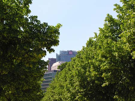 Foto Tiergarten