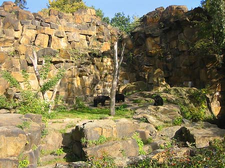 Tierpark - Berlin (Berlin)