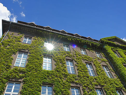 Rathaus Spandau - Berlin (Berlin)