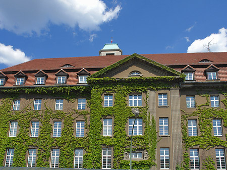 Rathaus Spandau - Berlin (Berlin)