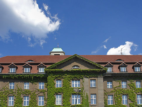 Rathaus Spandau - Berlin (Berlin)