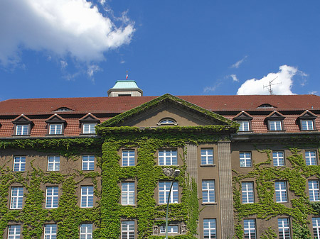 Rathaus Spandau - Berlin (Berlin)