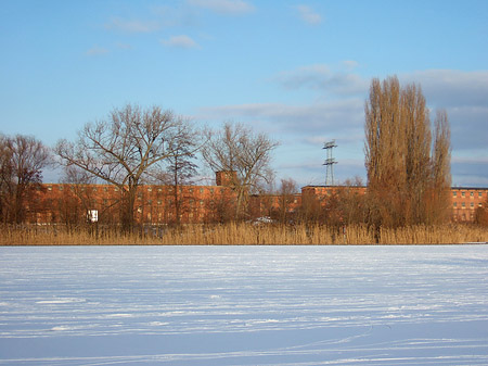 Eis - Berlin (Berlin)