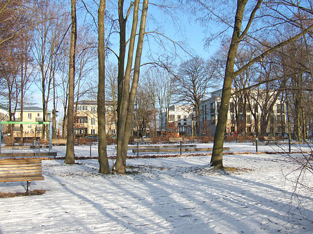 Eis im Wald - Berlin (Berlin)