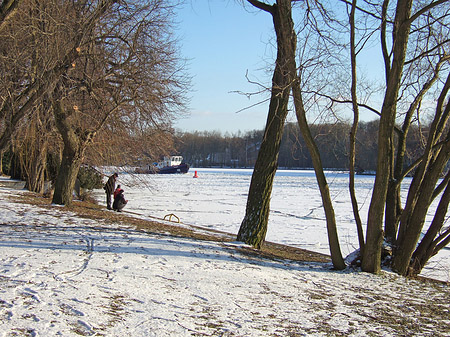 Eis im Wald - Berlin (Berlin)