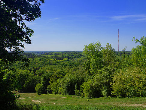 Foto Aussicht vom Teufelsberg - Berlin